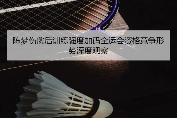 陈梦伤愈后训练强度加码全运会资格竞争形势深度观察